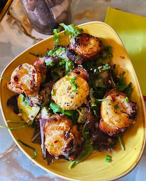 Roger Bar - Restaurant Toulon - restaurant Français TOULON